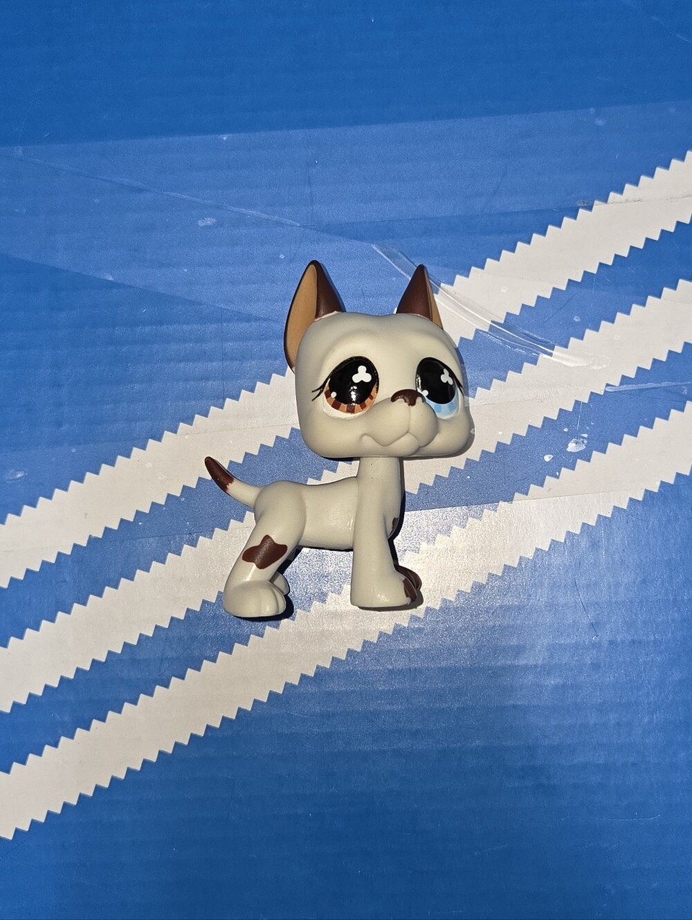 Littlest Pet Shop White and Brown Great Dane Puppy with Blue and Brown Eyes